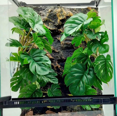 Reptile Plants for Terrarium Decor, Amphibian Habitat Decor, Snake Tank Accessor