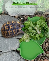 2 Pcs Leaf Shaped Reptile Water Dishes Food Bowls