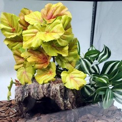 2 PCS Reptile Plants Terrarium Amphibian Habitat Fake Hanging Decor Yellow