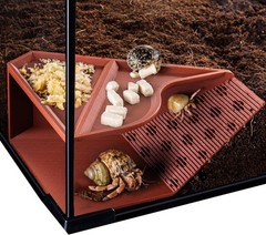 Hermit Crab Cave Hideout with Climbing Tunnel Hermit Crab Tank Accessories & …