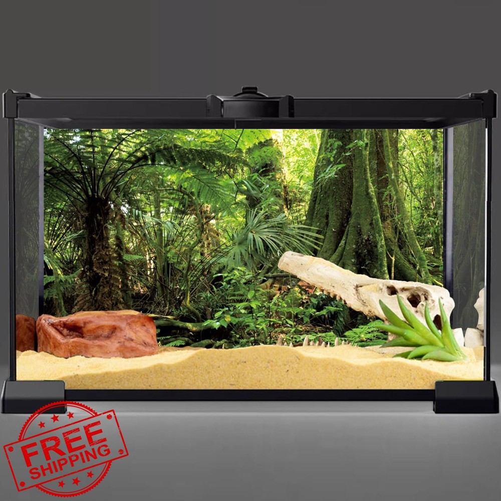 AWERT 48×24″ Forest Terrarium Background, Reptile Habitat