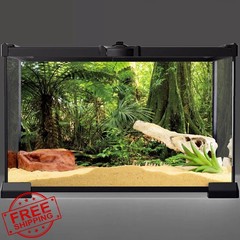 AWERT 48×24″ Forest Terrarium Background, Reptile Habitat