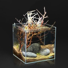 LANDEN Taiji Stone Natural Rocks(18lbs, 2~9 inches,6pcs) for Aquascape and Bo…