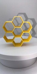 Colorful Honeycomb Hide for Jumping Spider Enclosure – 3D Printed Decor Custom