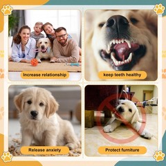 Puppy Play Gym Playground with Dog Toys Removable Dog Enrichment Playground, …