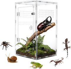 Acrylic Jumping Spider Enclosure, Transparent Reptile Terrarium Enclosure