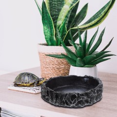 Reptile Bowl Wear-resistant Water Dish Decorative Water Bowl Reptile Accessory