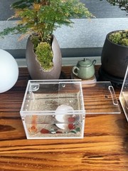 Insect Breeding Box & Reptile Feeding Enclosure – Waterproof for Tarantula, Scor