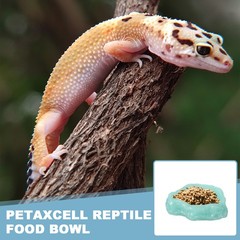 Reptile Food Bowl Reptile Feeding Dish Corner Bowl S 5.1″ Glow Blue