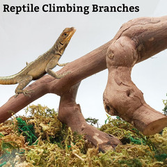 Snake Climbing Branch, 2Pcs Reptile Wood Natural Cork Log Tank Accessories Tree