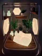 Coral Cove Glow Jumping Spider Enclosure – Stylish Pet House for Your Arachnid