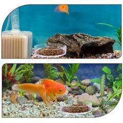 2 Pcs Shrimp Feeding Dish, Aquarium Fish Tank Feeder Clear