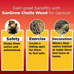 Leopard Gecko Cholla Wood 5 Inches Long Create Basking Spot Artistic Home-Decor