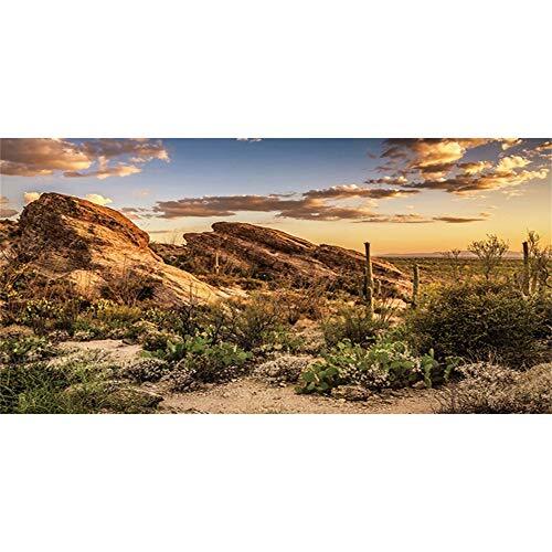 Reptile Habitat Background Blue Sky Oasis Cactus Sun And Desert Terrarium