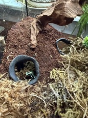 Aquarium & Terrarium Corner Underground Cave – Faux Mangrove Root Hideout for…