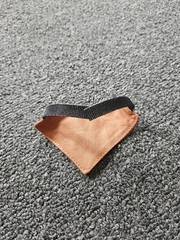 Thanksgiving Turkey Bandana Bearded Dragon Reptile Costume
