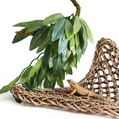 Green Hanging Silk Reptile Plant 12 Inch Terrarium Decoration