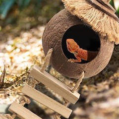 Coconut Hide with Ladder for Crested & Leopard Geckos, Reptile Tank Decor, Seagr