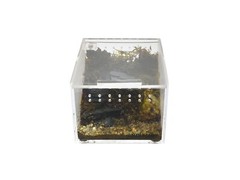 Herpcult Acrylic Reptile Terrarium Gecko Spider Vivarium Enclosure Mini Flat Cl
