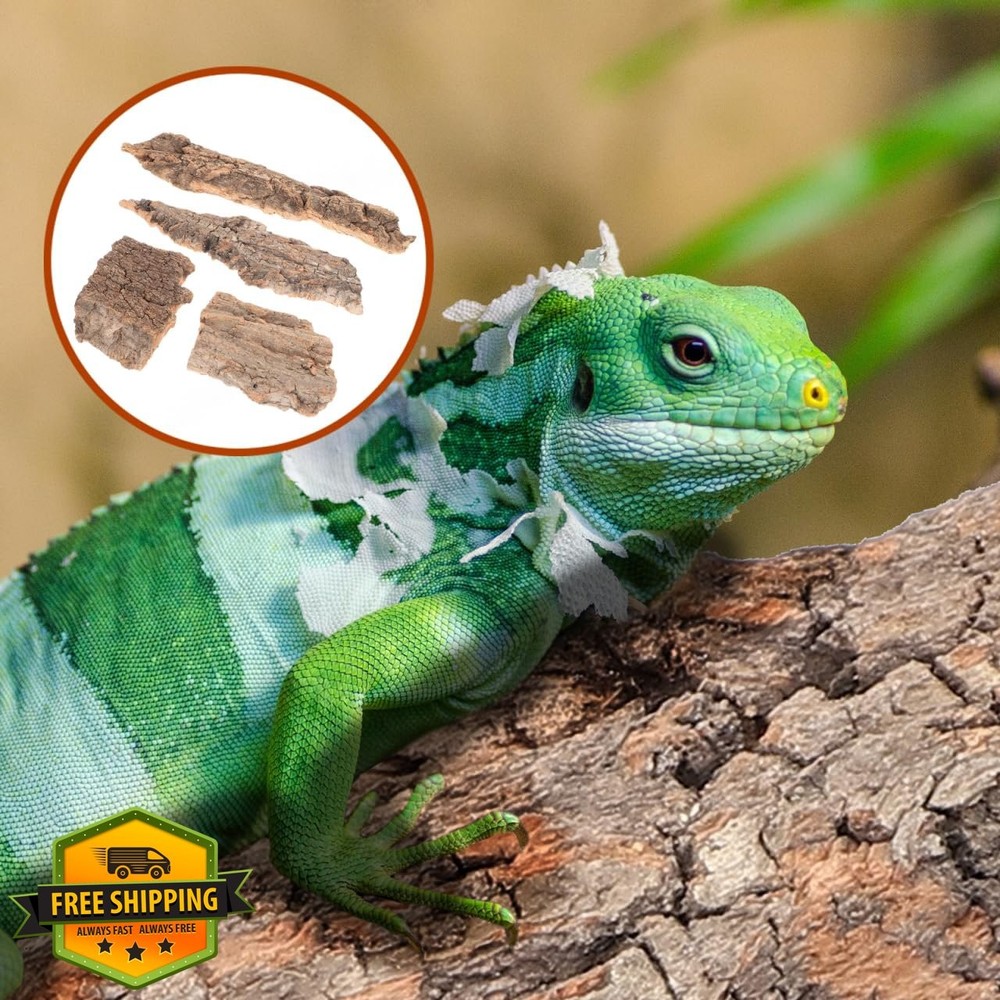 IMIKEYA 4pk Reptile Cork Bark Hide Gecko Tortoise Terrarium Decor
