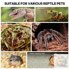 Acrylic Jumping Spider Habitat, Insect Terrarium, Bug Enclosure, Praying Mantis