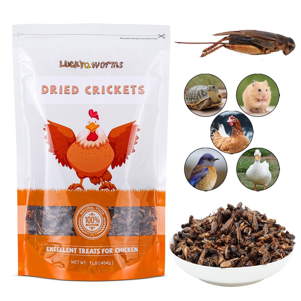 1 lb Dried Crickets Natural Insect Food for Reptiles Birds Chicken Fish Hamsters