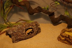 Reptile Tree Hollow Log 8.27×4.72×2.76in for Snake Gecko – Terrarium Habitat