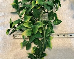 5- Reptile, Snake, Chameleon Vivarium Hanging Plants Artificial Vines Exo-Terra