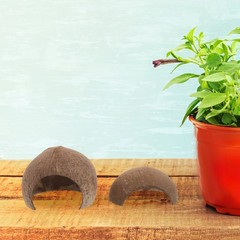 4Pcs Coconut Shell Reptile Caves Durable Hideouts for Geckos Hermit Crab Tanks