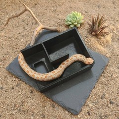 Snake Hide Box Sturdy Herpetological Shelter Cave Easy to Clean for Herp