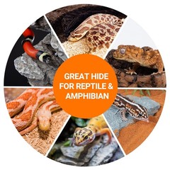 Gecko Hide Cave, 2 in 1 Snake Reptile Hideout for Hide & Rest & Breed & Feedi…