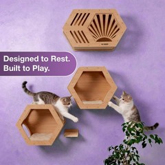 OLI GOODS Modern Hexagonal Cat Wall Shelf System, 6-Piece Wood Wall Mounted C…