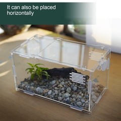 BETAZOOER Acrylic Mini Reptile Tank Habitat Transparent Large, Clear