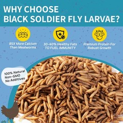 OHNAME 10LB Dried Black Soldier Fly Larvae for Chickens 10 Pound (Pack of 1)
