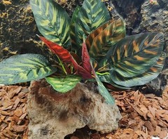 Reptile Terrarium Decor Plants,Amphibian Habitat Decor,Artificial Plants for …