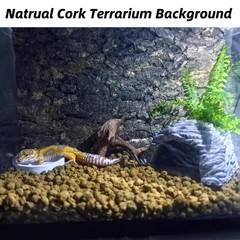 Hamiledyi 2PCS Cork Terrarium Background 15.7×11.8in 2PCS-15.7×11.8in, Brown