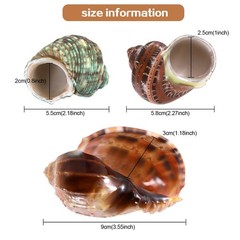 3PCS Natural Hermit Crab Shells Size 2.5″ – 4″, Opening 1″ – 2.5″ Hermit Crab…