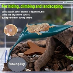 5pcs Crested Gecko Tank Accessories Wall Climbing Gecko,3pcs Grass Green Leaf