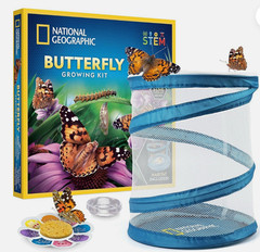 NATIONAL GEOGRAPHIC Butterfly Growing Kit – Butterfly Habitat Kit Parties STEM