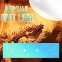 2 Pack Reptile Uvb Uva Heat Lamp Bulb For Reptiles Truly Sun-Like Bright8724