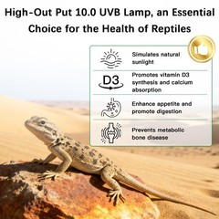 T5 10.0 UVB Reptile Light Fixture Combo Kit, 8W High Output UVA UVB Light wit…
