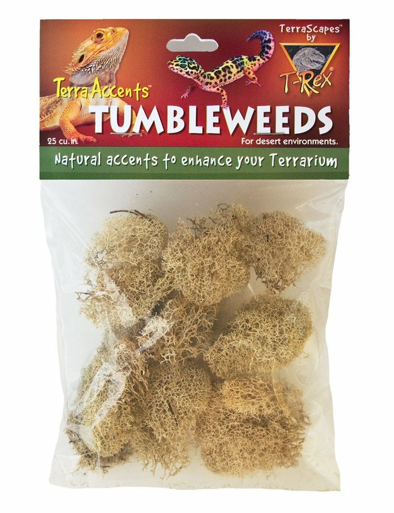 T-Rex Reptile Terrarium Décor – Terra Accents Tumbleweeds