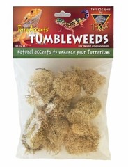 T-Rex Reptile Terrarium Décor – Terra Accents Tumbleweeds