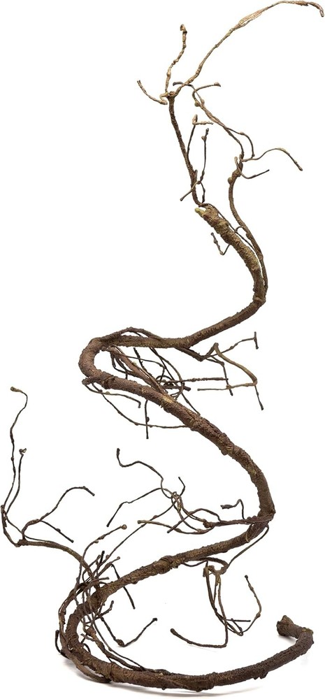 Reptile Ultimate Vine Terrarium Habitat Brown