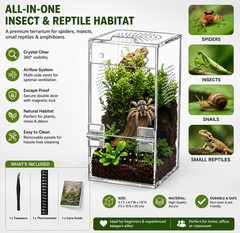 Clear Acrylic Jumping Spider Enclosure – 3.5×3.5×7 Vertical Terrarium