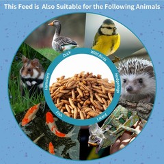 OHNAME 10LB Dried Black Soldier Fly Larvae for Chickens 10 Pound (Pack of 1)