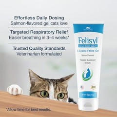 Felisyl L-Lysine Gel for Cats & Kittens (5oz) – Immune System, 1 Pack, Paste