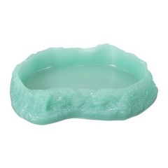 Reptile bowl 13.5cm S bright