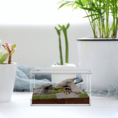 Pet Reptile Enclosure Acrylic Crawling Box Climbing Container The Fence