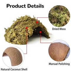 Green Coconut Leopard Gecko Hide Reptile Cave Tank Accessory